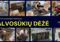 Galvosūkių žaidimai: Išsamus vadovas ir patarimai